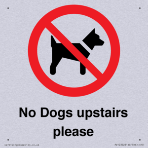 No Dogs upstairs please 